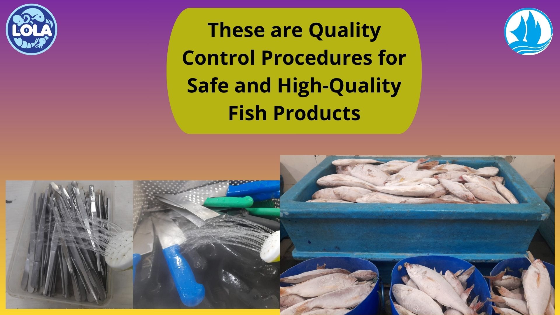  These are Quality Control Procedures for Safe and High-Quality Fish Products